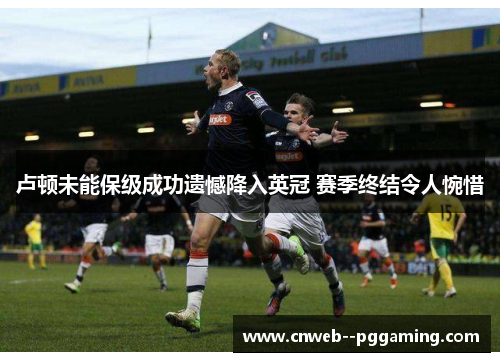 卢顿未能保级成功遗憾降入英冠 赛季终结令人惋惜